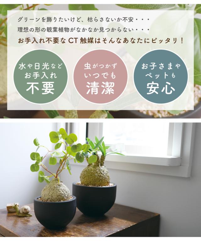 コロンと可愛い植木鉢　フェイクグリーン　トレンドインテリア コロンと可愛い植木鉢 フェイクグリーン トレンドインテリア