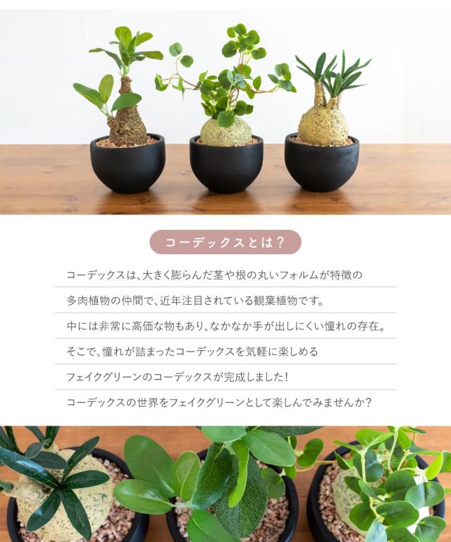コロンと可愛い植木鉢　フェイクグリーン　トレンドインテリア キシマ フェイクグリーン 多肉植物 コーデックス 小さい ミニ 鉢