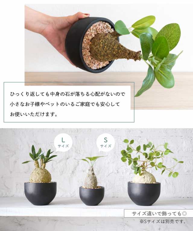 フェイクグリーン 多肉植物 コーデックス 鉢 おしゃれ