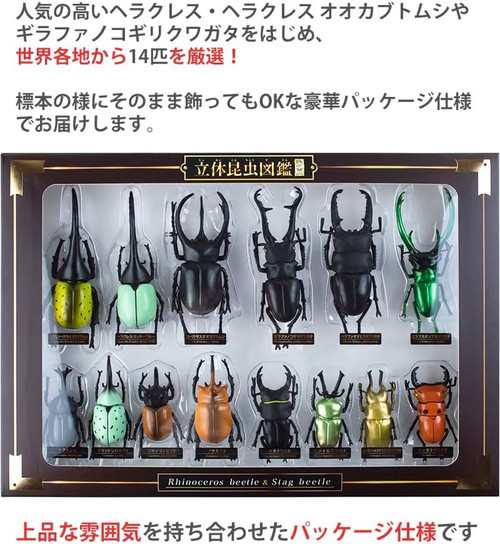 送料無料】 立体昆虫図鑑DX カブトムシ クワガタセット 標本 リアルフィギュア セット DX版限定付録の通販はau PAY マーケット -  トイスタジアム | au PAY マーケット－通販サイト