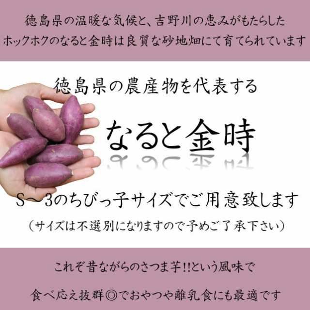 ほっくほくの【徳島県産】ちびっ子なると金時 約6kgの通販はau PAY マーケット - せいぶ青果