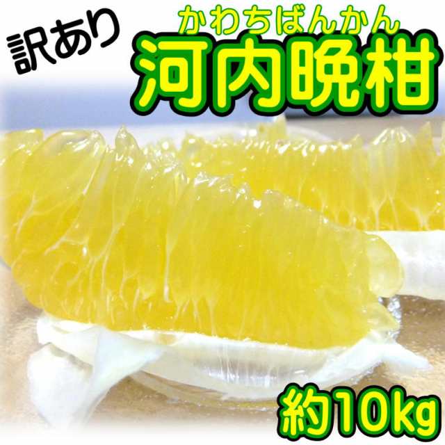 最大56%オフ! 訳あり 愛媛県産 河内晩柑 約10kg 最大56%オフ! 訳あり 愛媛県産 河内晩柑 約10kg
