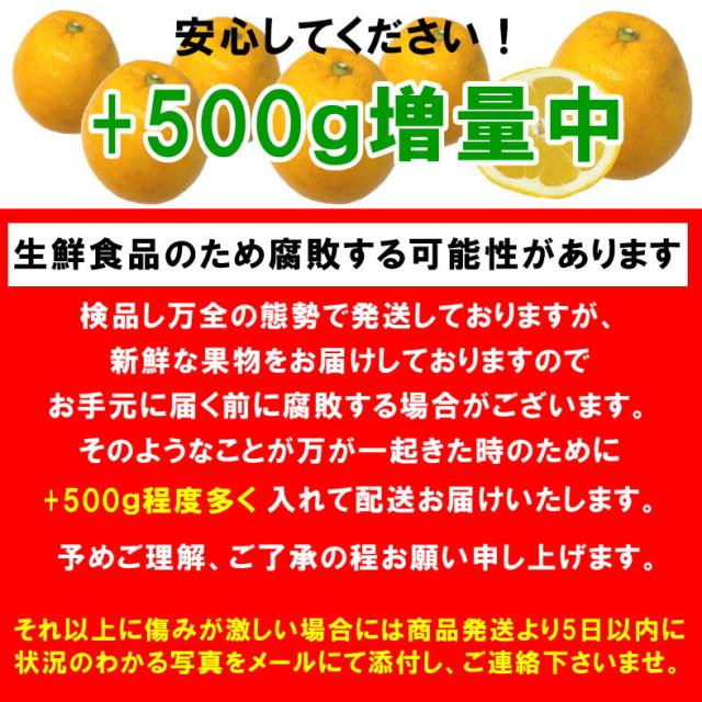 最大56%オフ! 訳あり 愛媛県産 河内晩柑 約10kg 最大56%オフ! 訳あり 愛媛県産 河内晩柑 約10kg