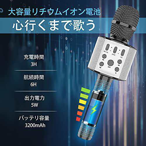 Sky Stone カラオケマイクワイヤレスマイク bluetooth microphone