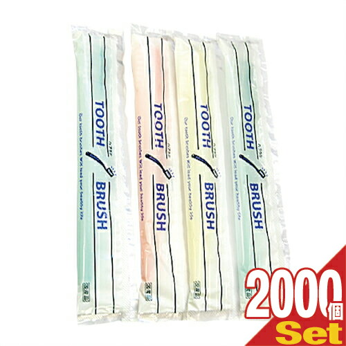 【あす着】業務用粉付き歯ブラシ ×2000本(カラーは当店おまかせ)  - 業務用歯ブラシ。オリエンタル刷子。磨き粉が付着しているので、すぐに使える。携帯にも便利です。【ホテルアメニティ】【使い捨て歯ブラシ】【個包装タイプ】【業務用歯ブラシ】【送料無料】