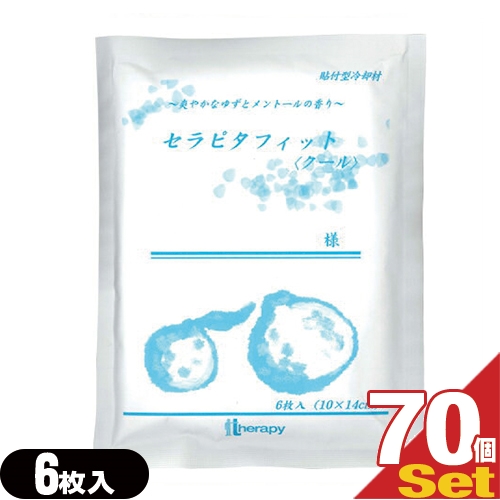 貼付け型冷却材 カナケン アクアシート(AQUA SHEET)(5枚入) x 100個セット