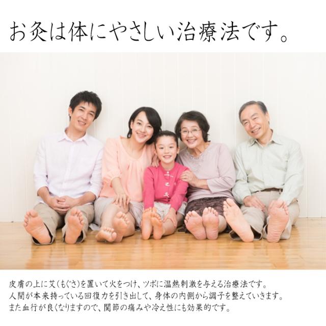 【あす着】【もぐさ･お灸】any キネフィット 直接灸･点灸用もぐさ(直接灸･点灸もぐさ)300g+さらに選べるおまけつき(長生灸･調熱絆など)セット【送料無料】_3