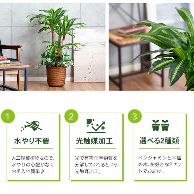 インテリアグリーン2点セット 人工観葉植物 インテリアグリーン