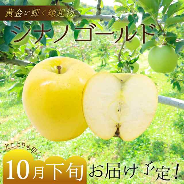 数量限定 】2022年産 青森県産りんご ご家庭用 訳あり シナノゴールド 3kg （約8玉～12玉入り）産地直送 工藤農園の通販はau PAY  マーケット - Blue Topaz's Wowma!店