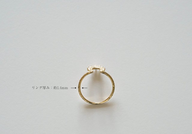 K18 ホースシュー ダイヤモンド リング 馬蹄 蹄 指輪 ring 18k 18金