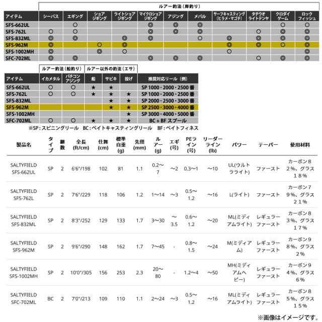 Abu Garcia ライトショアジギング入門セット