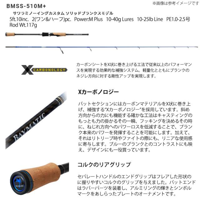 サワラ・青物 キャスティング入門セット】○パームス ベイ