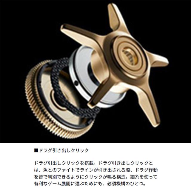 ●ダイワ　26 タトゥーラ BF TW 8.1R （右ハンドル）_4