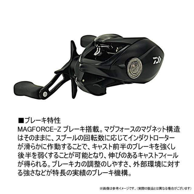 ○ダイワ 24 タトゥーラ TATULA TW 100H (右ハンドル)