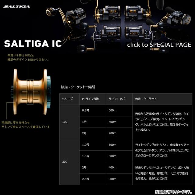 ダイワ 21ソルティガ IC 100 右ハンドル ダイワ '21 ソルティガIC 100・右ハンドル - フィッシングショップ