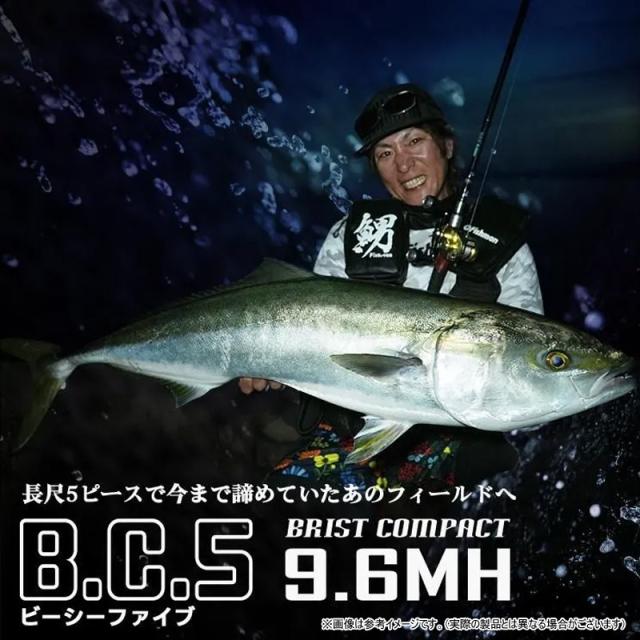Fishman フィッシュマン　ブリスト コンパクト BC5（ビーシーファイブ） 9.6MH （FBC5MH96）