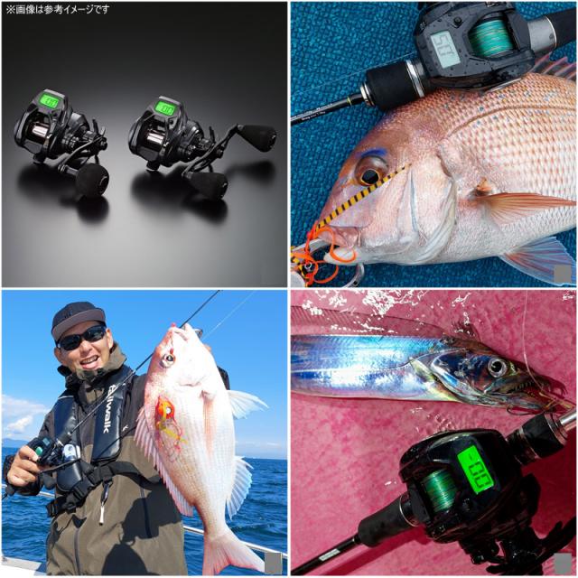 tailwalkヴィレイヤー VILAYER (ヴィレイヤー) DG – フィッシングマックス WEBSHOP