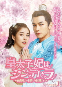 [DVD]/皇太子妃はシンデレラ 〜花嫁は可愛い盗賊!? DVD-BOX 1/TVドラマ/BWD-3254