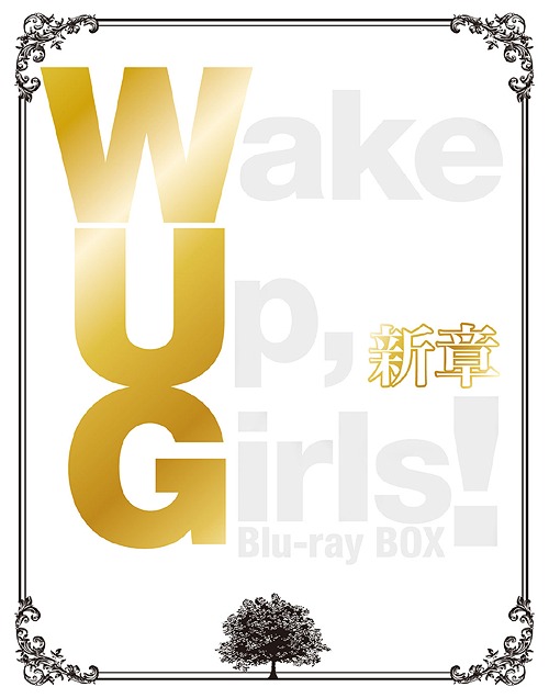 [Blu-ray]/Wake Up Girls! 新章 Blu-ray BOX [初回生み出すこと押さえる]/アニメ/EYXA-12173