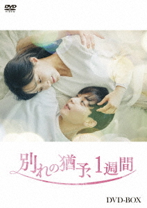 DVD 風の中の少女 金髪のジェニー DVD-BOX 1と2セット