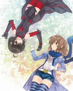 [Blu-ray]/痛いのは嫌なので防御力に極振りしたいと思います。 Blu-ray BOX/アニメ/KAXA-9843