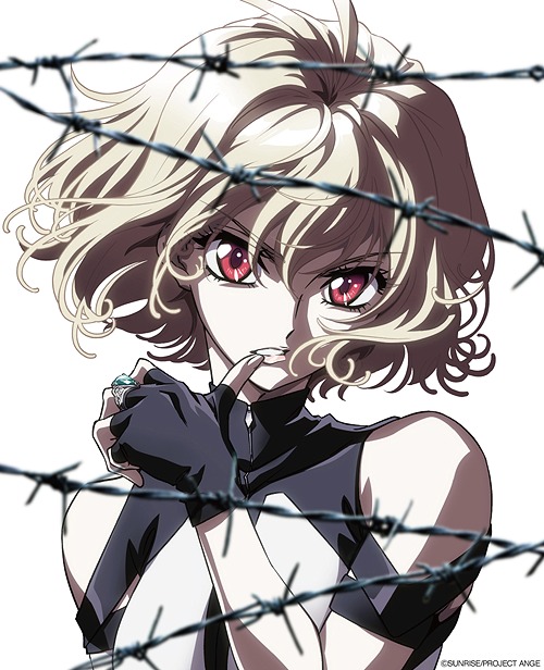 DVD】 体操ザムライ DVD BOX【完全生産限定版】 送料無料