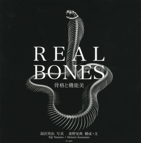 [書籍]/REAL BONES 骨格と機能美/湯沢英治/写真 東野晃典/構成・文/NEOBK-1593175