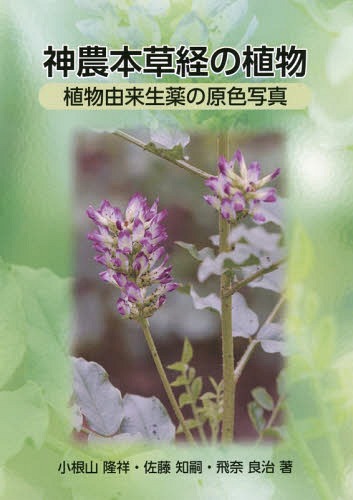 [書籍]/神農本草経の植物-植物由来生薬の原色写真/小根山隆祥/著 佐藤知嗣/著 飛奈良治/著/NEOBK-2077306