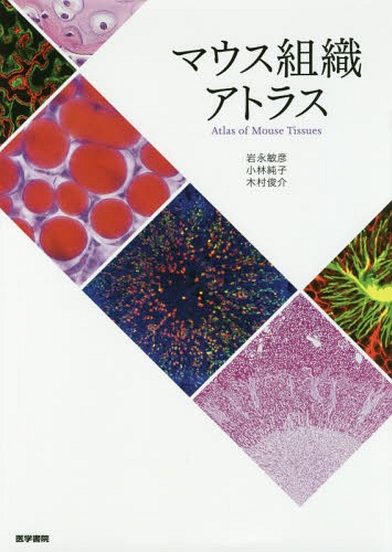 [書籍]/マウス組織アトラス/岩永敏彦/著 小林純子/著 木村俊介/著/NEOBK-2317553