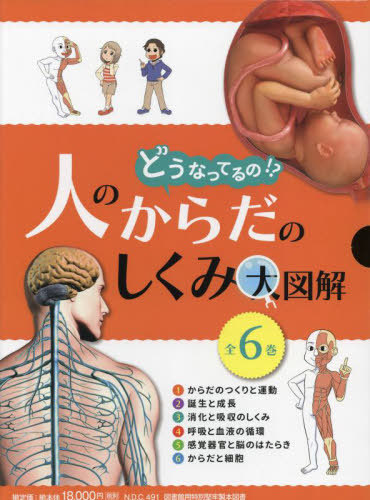 [書籍]/どうなってるの!?人のからだのしくみ大図解 6巻セット/坂井建雄/監修/NEOBK-2847245