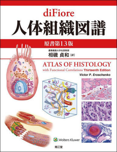 [書籍]/di Fiore人体組織図譜 / 原タイトル:ATLAS OF HISTOLOGY with Functional Correlations 原著第13版の翻訳/VictorP.Eroschenko/著 相磯貞和/訳/NEOBK-3088376