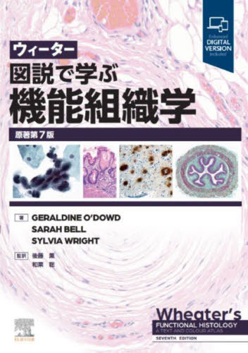 [書籍]/ウィーター図説で学ぶ機能組織学 / 原タイトル:WHEATER’S FUNCTIONAL HISTOLOGY 原著第7版の翻訳/GERALDINEO’DOWD/著 SARAHBELL/著 SYLVIAWRIGHT/著 後藤薫/監訳 和栗聡/監訳/NEOBK-3108531