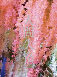 [Blu-ray]/人間失格 太宰治と3人の女たち 豪華版/邦画/PCXP-50735