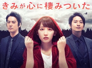 [Blu-ray]/きみが心に棲みついた Blu-ray BOX/TVドラマ/TCBD-738