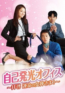 [DVD]/自己発光オフィス〜拝啓 運命の女神さま!〜 DVD-BOX 1/TVドラマ/TCED-4084