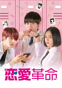 [DVD]/恋愛革命 DVD-BOX/TVドラマ/TCED-6018