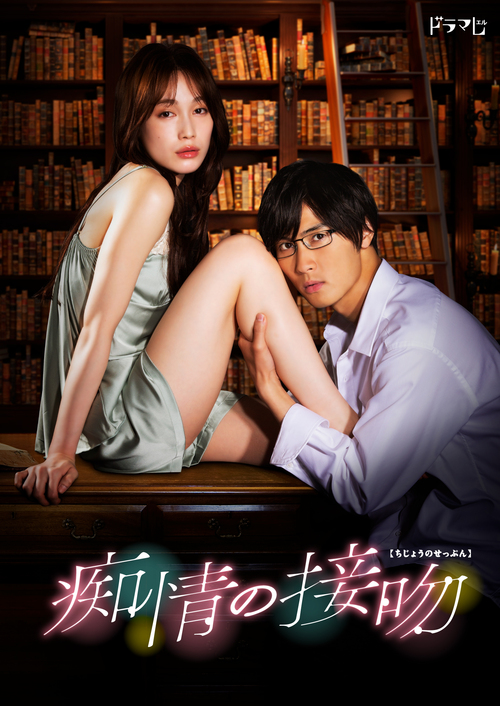 [DVD]/痴情の接吻 DVD-BOX/TVドラマ/TCED-6106