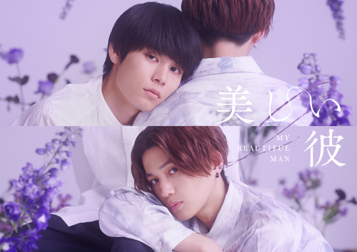 [DVD]/美しい彼 シーズン2 & 〜special edit version〜 DVD-BOX/TVドラマ/TCED-7028 8,126円