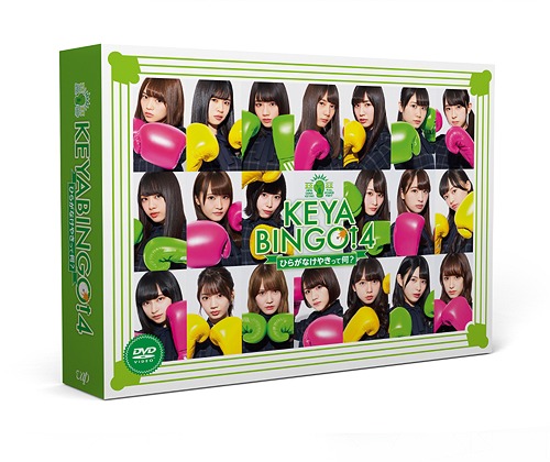[DVD]/KEYABINGO! 4 ひらがなけやきって何? DVD-BOX [初回生産限定]/バラエティ (けやき坂46)/VPBF-14754
