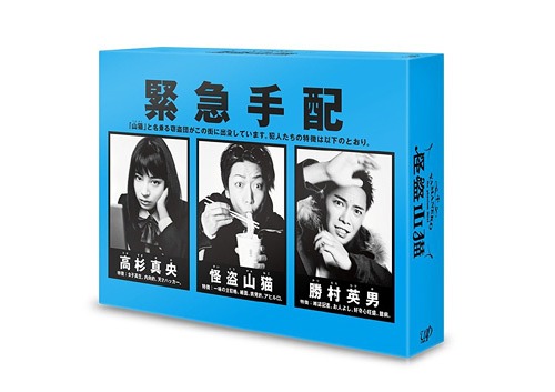 [DVD]/怪盗 山猫 DVD-BOX/TVドラマ/VPBX-29952