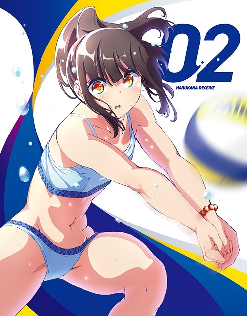 [DVD]/はるかなレシーブ Vol.2/アニメ/ZMBZ-12482