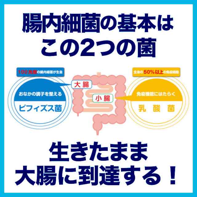 送料無料 森永クリニコ ビフィズス菌末BB536 1箱 2g×30本 粉末 溶けやすい ビフィズス菌BB536 500億個以上 腸内環境  株式会社リブドゥコの通販はau PAY マーケット - 大人用紙おむつ専門店 まごころサポート