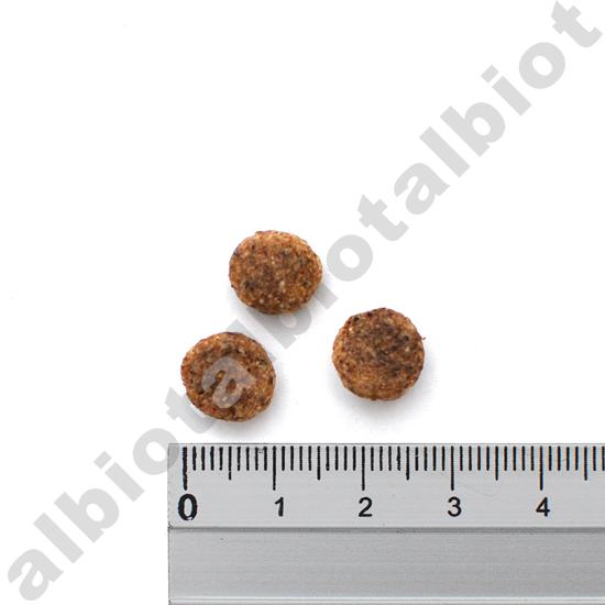 ナチュラルハーベスト メンテナンススモール フィッシュ 1.59kg × 2袋（真空パッケージ）の通販は
