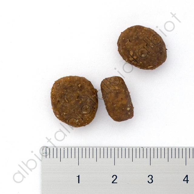 GO! ソリューションズ カーニボア アダルト チキンターキー＋ダック 9.98kg 成犬用 ドッグフード_1