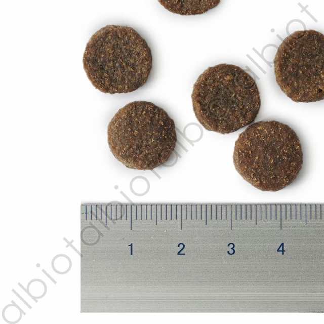 ナチュラルバランス ポテト＆ダック ドッグフード 5.45kg × 2袋の通販は