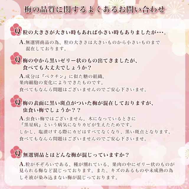 送料無料【訳あり】無選別品 梅干し塩分約15％ 無添加しそ漬福梅ぼしたっぷりお徳用800g（約45粒～55粒）福井県産紅映梅 食品 国産 お取の通販はau  PAY マーケット - 福梅ぼし