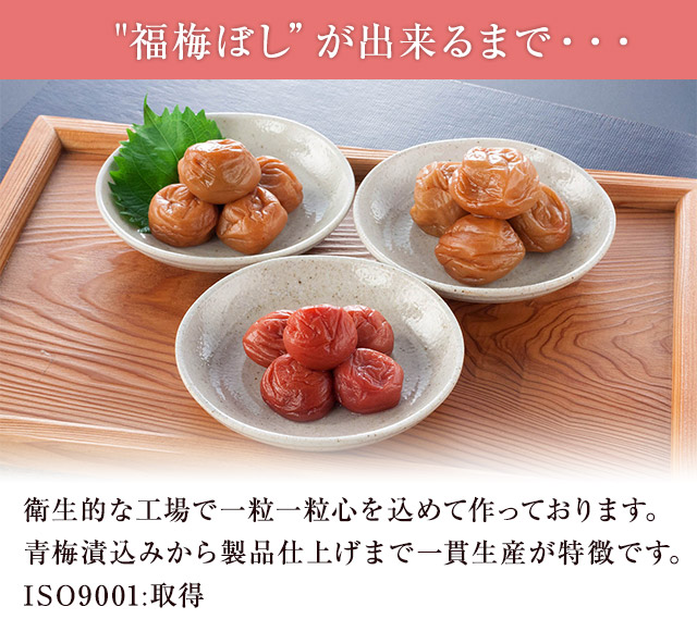 送料無料 ねり梅 しそ葉入 140g 4個セット 国産梅 国産うめ ねり梅 練り梅 ゆうパケットでお届け 商品代引不可 お取りの通販はau Pay マーケット 福梅ぼし