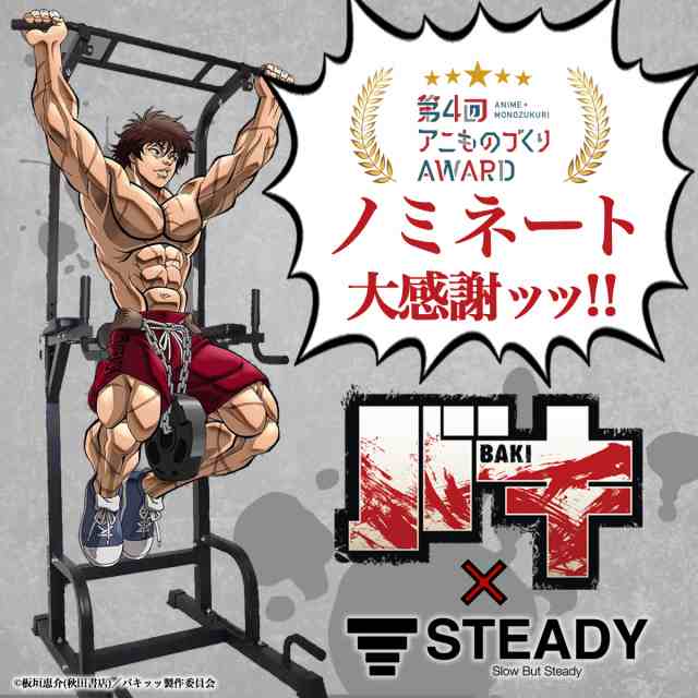 steady ◇ステディ懸垂マシン チンニングスタンド | www.hitplast.com