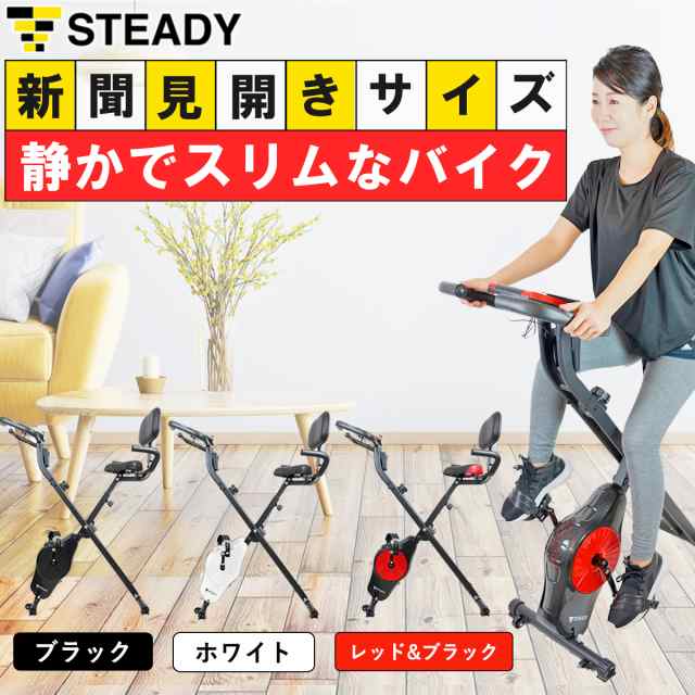 ⭐︎美品⭐︎折りたたみ式 背もたれ付き 静音 小型 STEADY エアロバイク