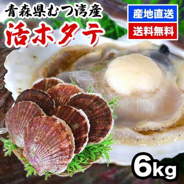 ほたて 6kg ホタテ ホタテ貝柱 帆立 大容量 ほたて貝柱 活ホタテ　青森県産　送料無料　チルド便　新鮮　鮮度命　バーベキュー　BBQ